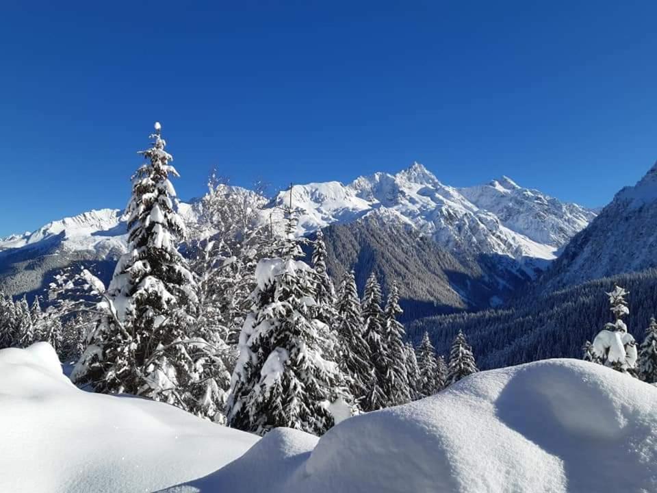 Superbe Studio Aux 7 Laux La Ferrière المظهر الخارجي الصورة