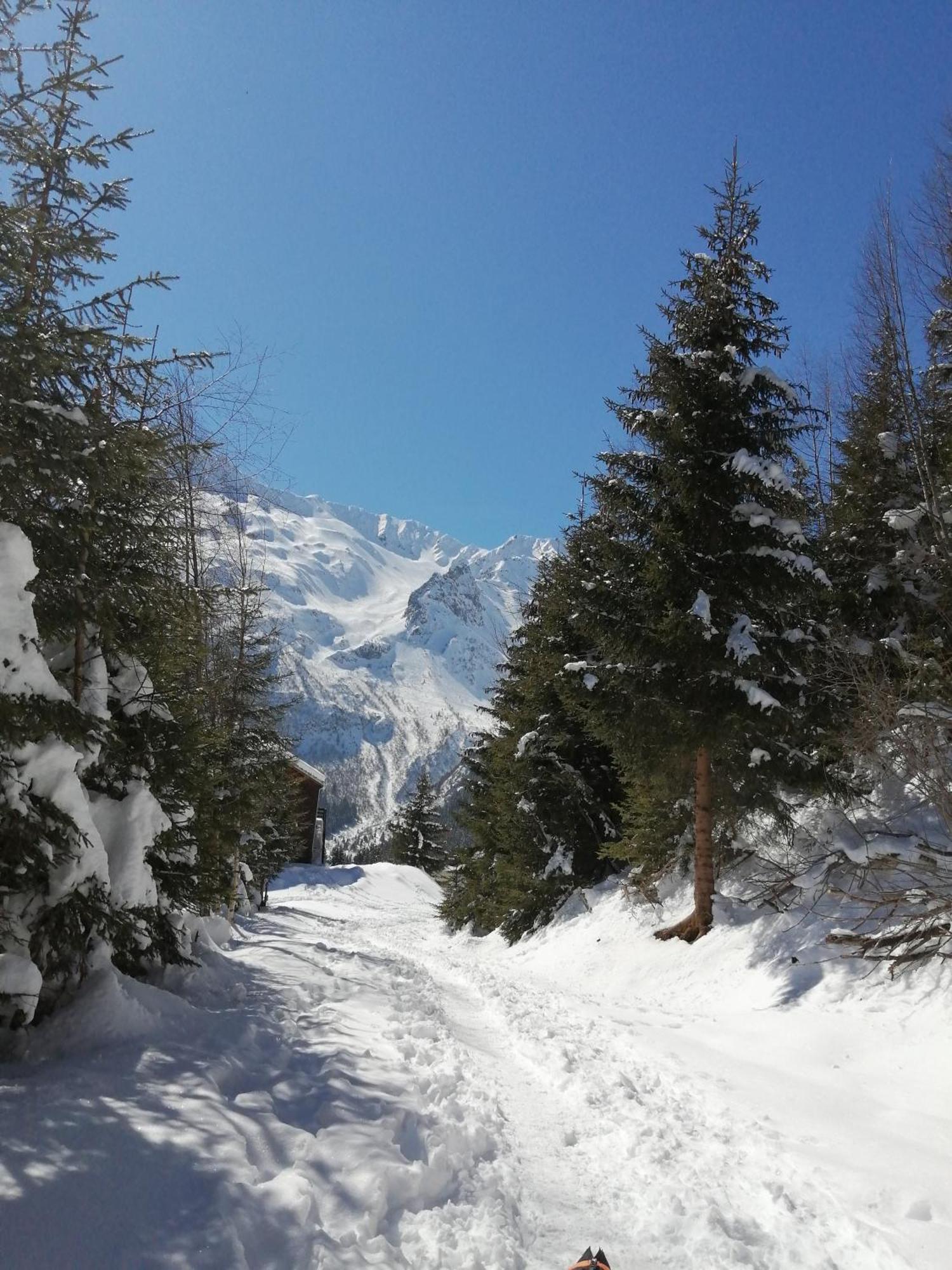 Superbe Studio Aux 7 Laux La Ferrière المظهر الخارجي الصورة